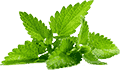 在线轰炸机